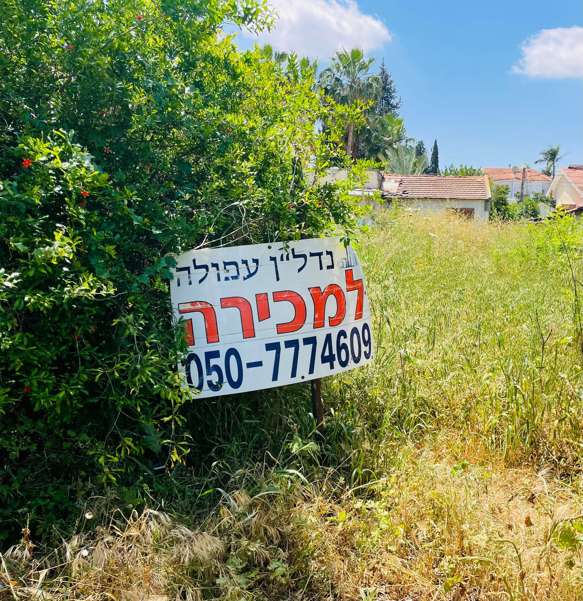 דו  משפחתי עם  זכויות הרחבה